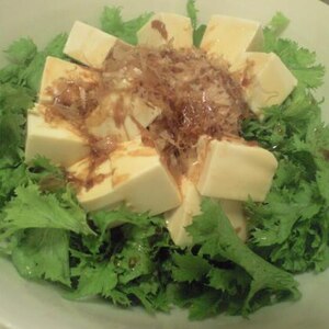 簡単サラダ！　ワサビ菜の豆腐サラダ